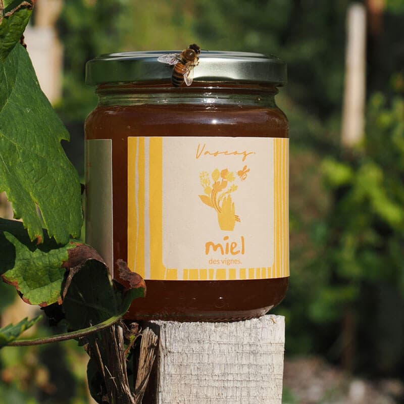 Miel — Première Miellée 2025