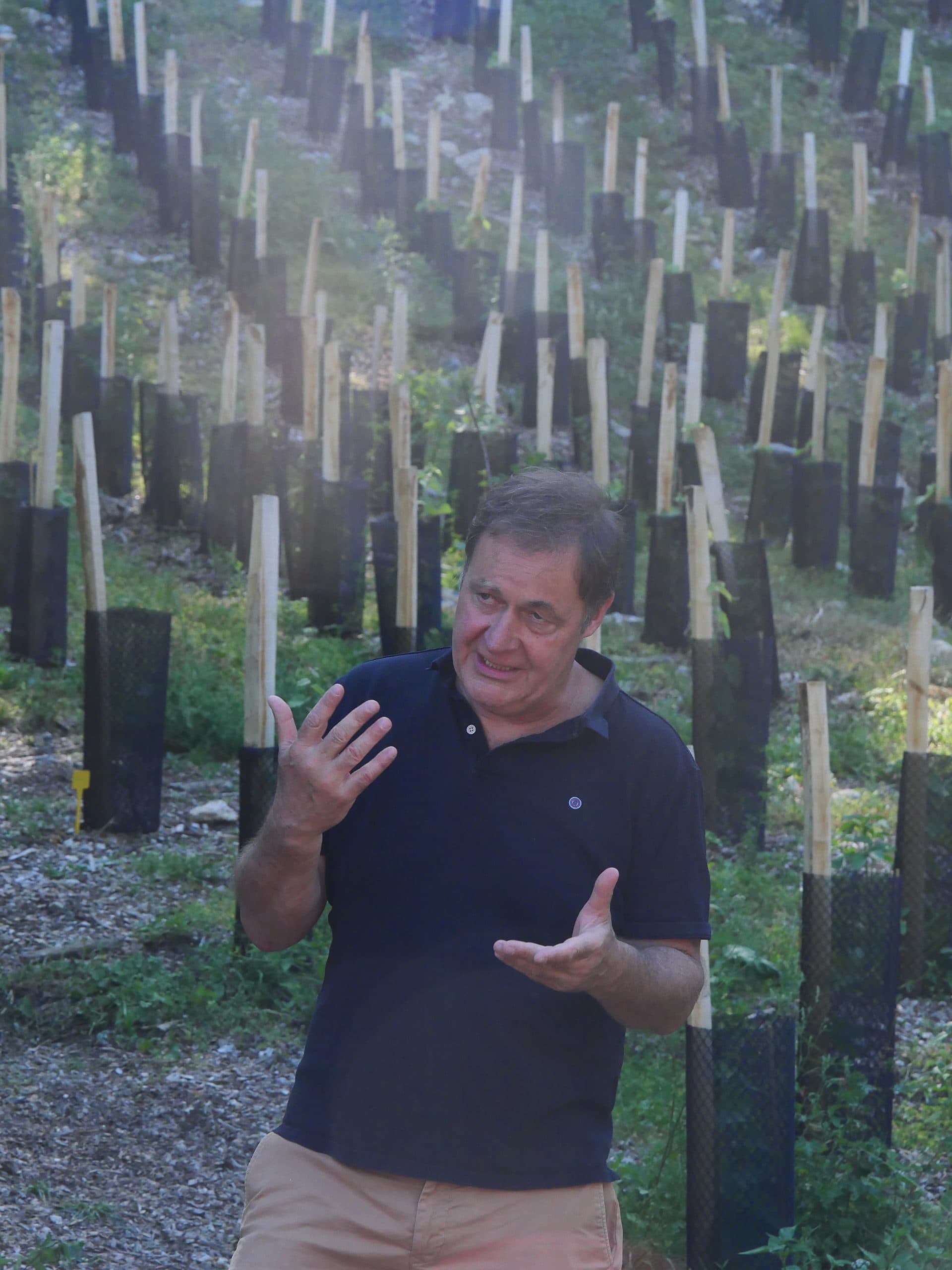 Créer au rythme des vignes